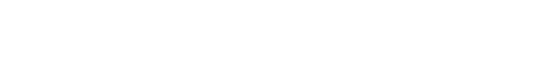 特殊皮革